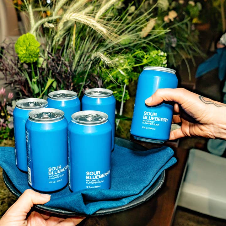 United Sodas - Wholesale Soda/Carbonated Drink - Naturally Flavored Soda - Sour Blueberry 3