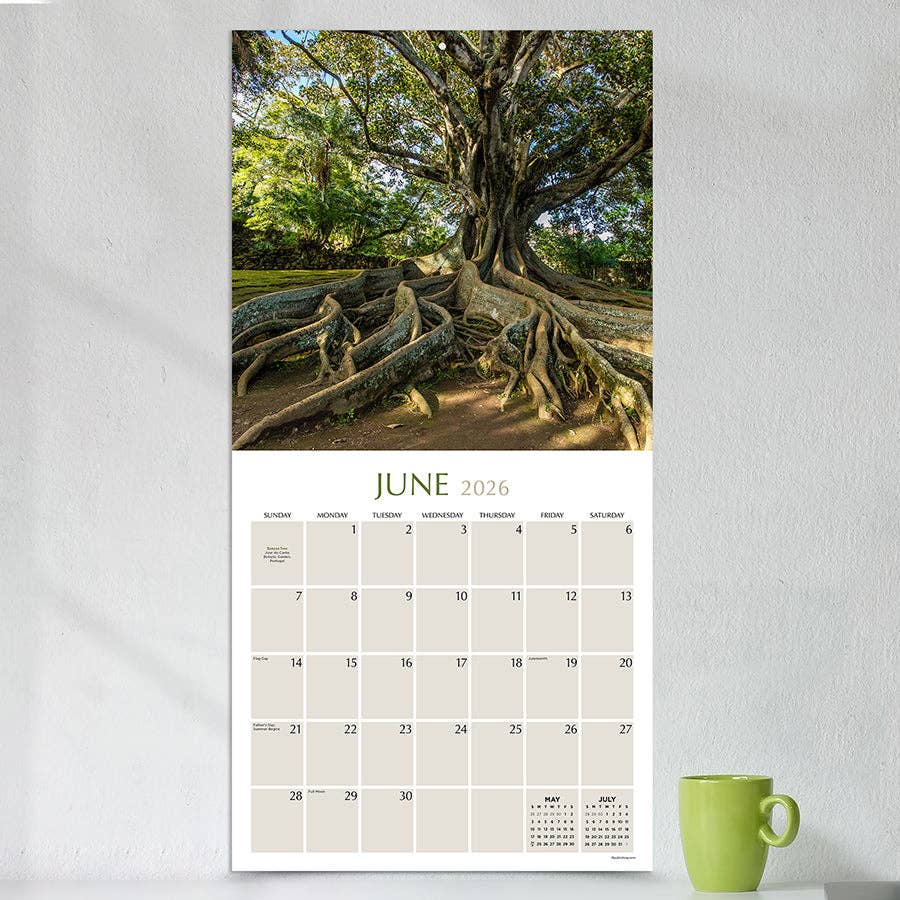 TF Publishing - Paper Goods - Vente Calendrier - Calendrier mural des arbres 20263