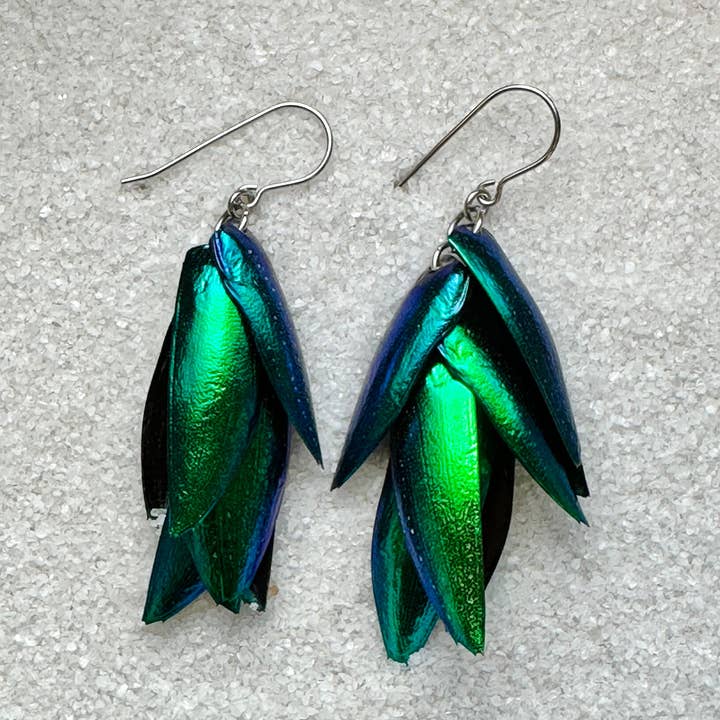 Isms – wholesale Dangle earrings – Green Real Beetle Wing Earrings - Wings of Invasive Elytra Beetles - Surgical Steel