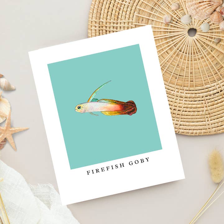 Firefish Goby Minimalist Art Print, Coastal Beach Aesthetic for wholesale by Fins and Frags