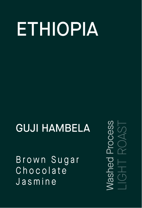 Mi Vida Coffee - Wholesale Coffee Beans - Ethiopia Guji Hambela2