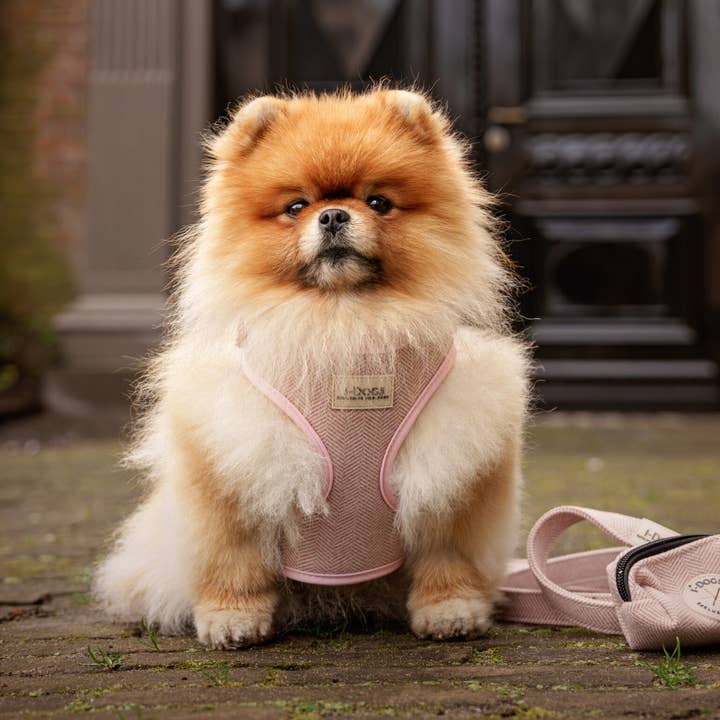 Komplett set Touch of Pink för wholesale av I-Dogs