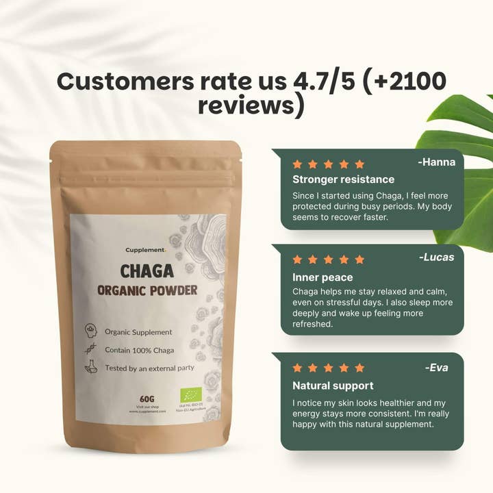 Cupplement b.v. - Wholesale Protein/Superfood Powder - Chaga Powder Organic 60 Grams4
