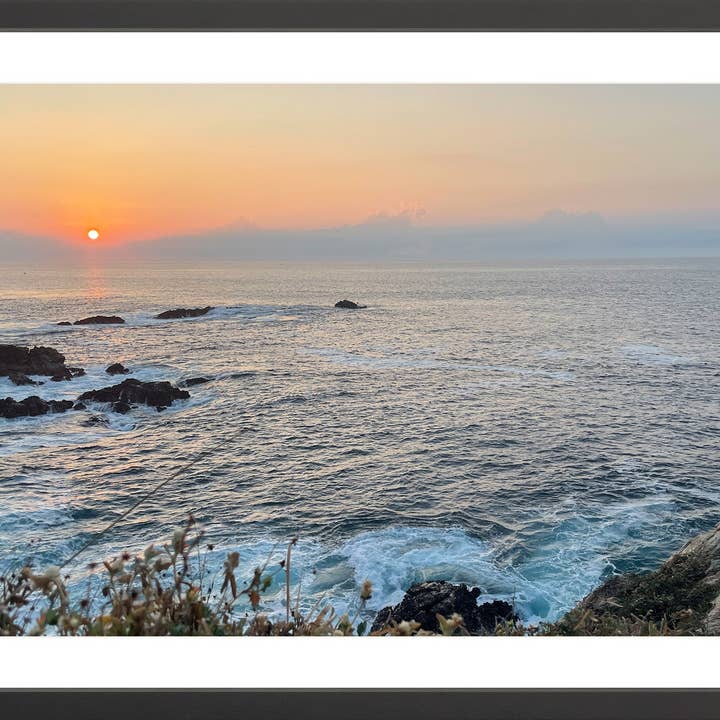 Oaxaca for wholesale by Oceanafy