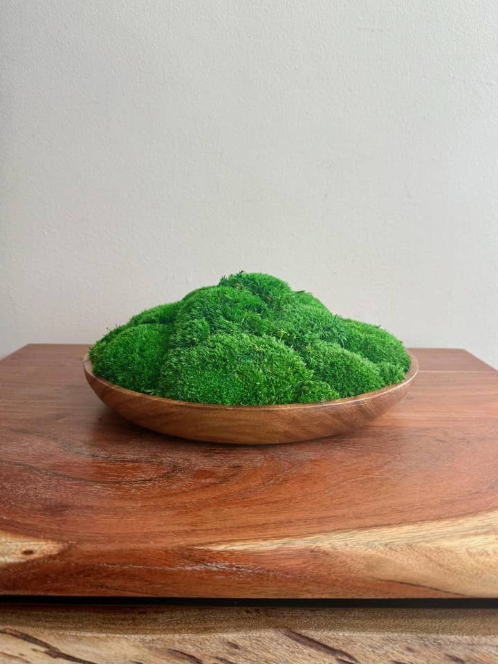 Preserved Moss Centerpiece: Wood Bowl with Reindeer Moss for wholesale by Bright Belle