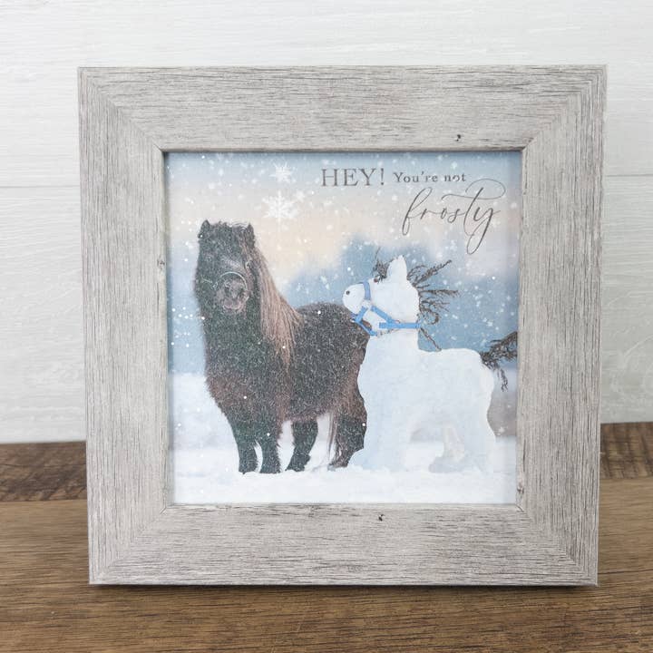 You're Not Frosty Art Winter Snow Horse Pony Art Sign for wholesale by Summer Snow Art