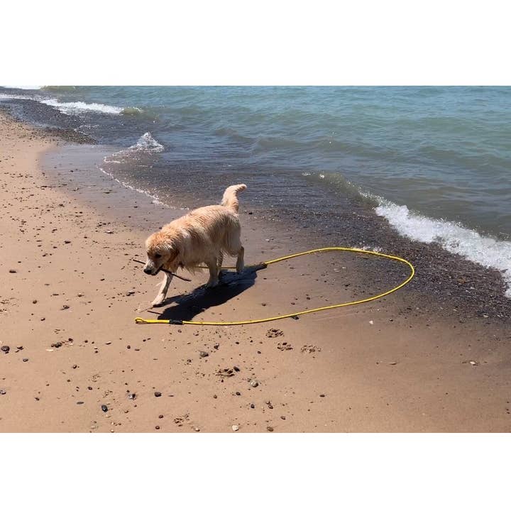 SOFT LINES - Wholesale Pet Leash - Dog - Swim Snap Leash w/ Stainless Steel Hook Clip4