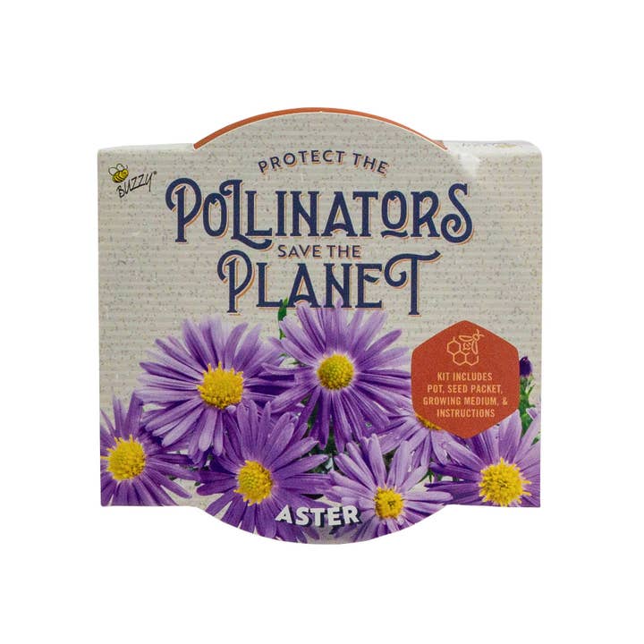 Buzzy Seeds Grow Gifts - Wholesale Plant Seeds - Pollinator Classic Terracotta Aster Grow Kit – Indoor Gift1