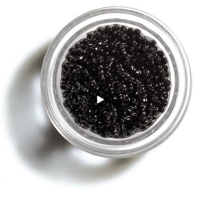 TartufLanghe - Wholesale Salsa - Black Truffle Perlage – Truffle Caviar-Style Pearls