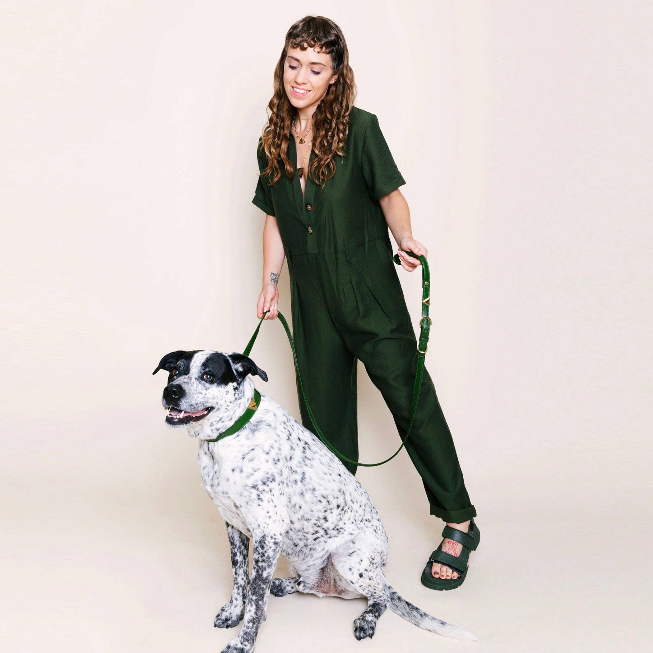 DIPHDA - Wholesale Pet Collar - Cat/Dog - Match Your Pet Luxury Gift Box - Olive Tiger