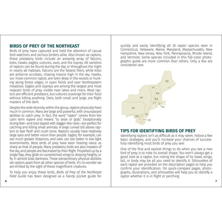 AdventureKEEN - Wholesale Nature & Outdoors - Birds of Prey of the Northeast Field Guide 2nd Edition2