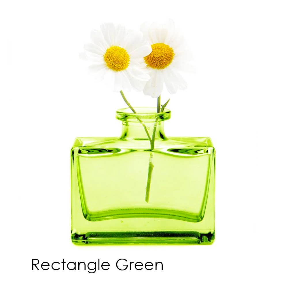 Chive - Wholesale Vase - Loft  Colorful Transparent Bud Vase Set Oval, Round, Square10