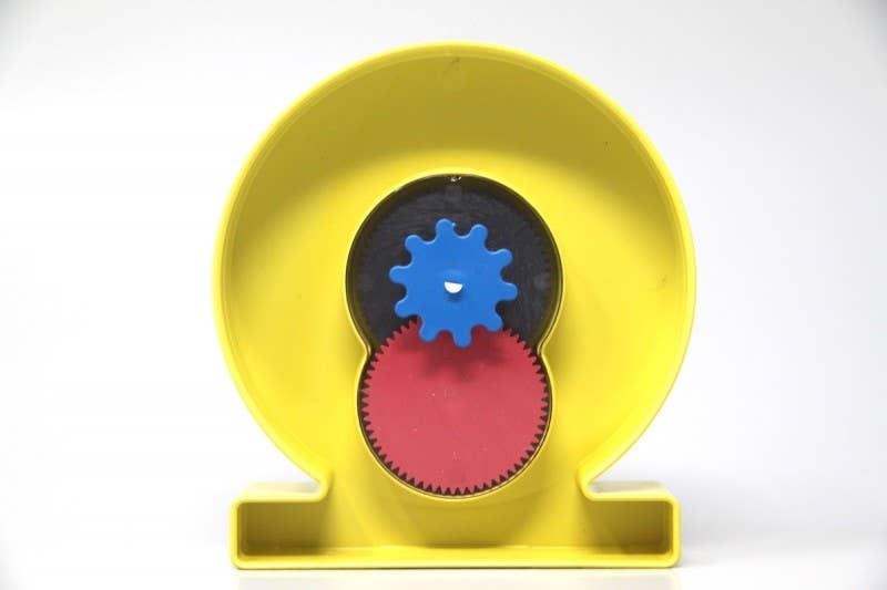 yellow blue red Classic student watch | synchronous movement learning clock time for wholesale on Faire2