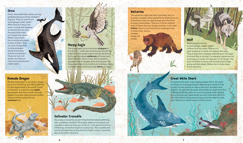 Barefoot Books - Wholesale Reference Book - Barefoot Books Incredible Animals2