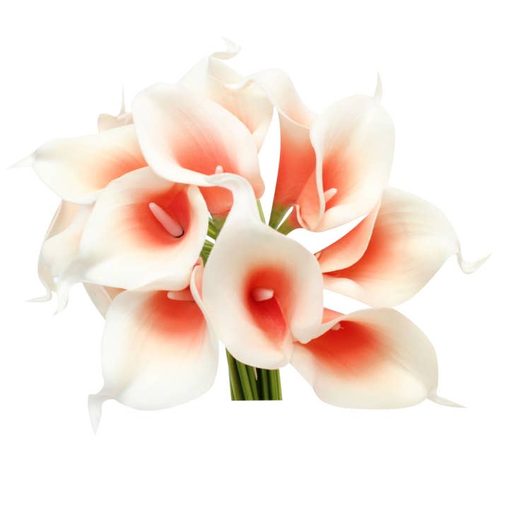 Angel Isabella - Wholesale Artificial flowers - Pack of 10-Real Touch Calla lily-yellow orange color palette10