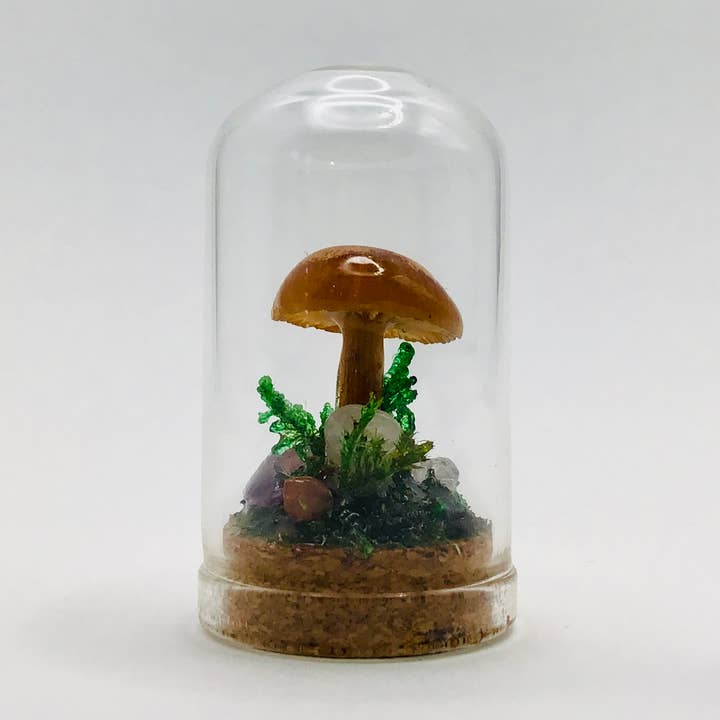 Real Mushroom Curiosity Jar Fungi Oddity Decor 1.75" # 672 for wholesale by Fungus Farm LLC