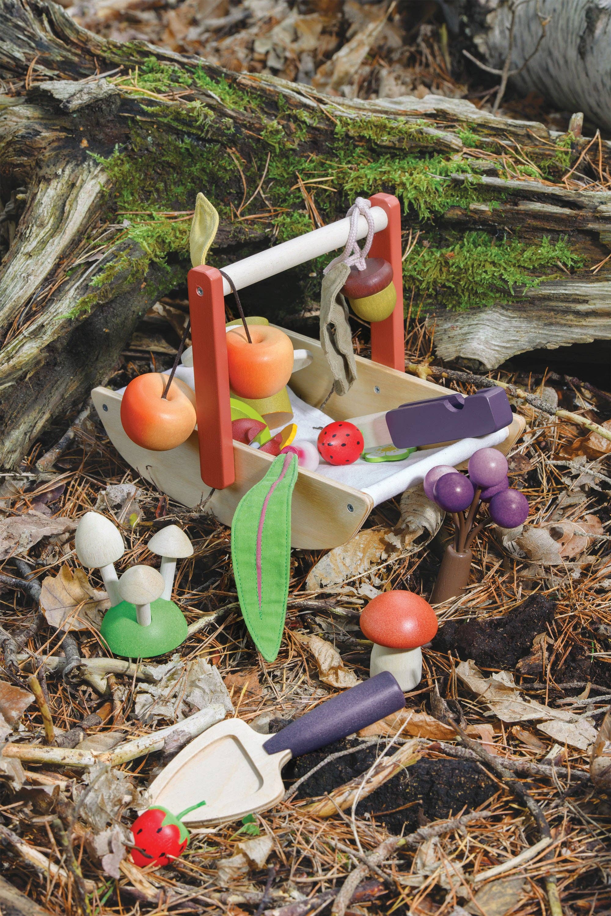 Tender Leaf Toys - Vente Lot de jouets – enfant - Trug de cueillette en bois sauvage8
