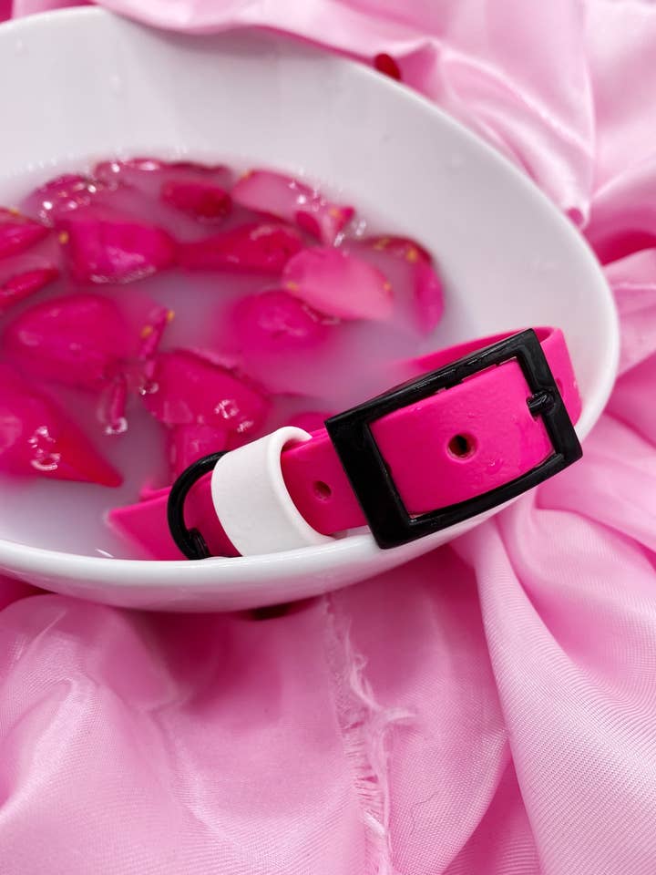 Be Mine Pink Biothane Leash and Collar Set for wholesale by Lucky Me Co