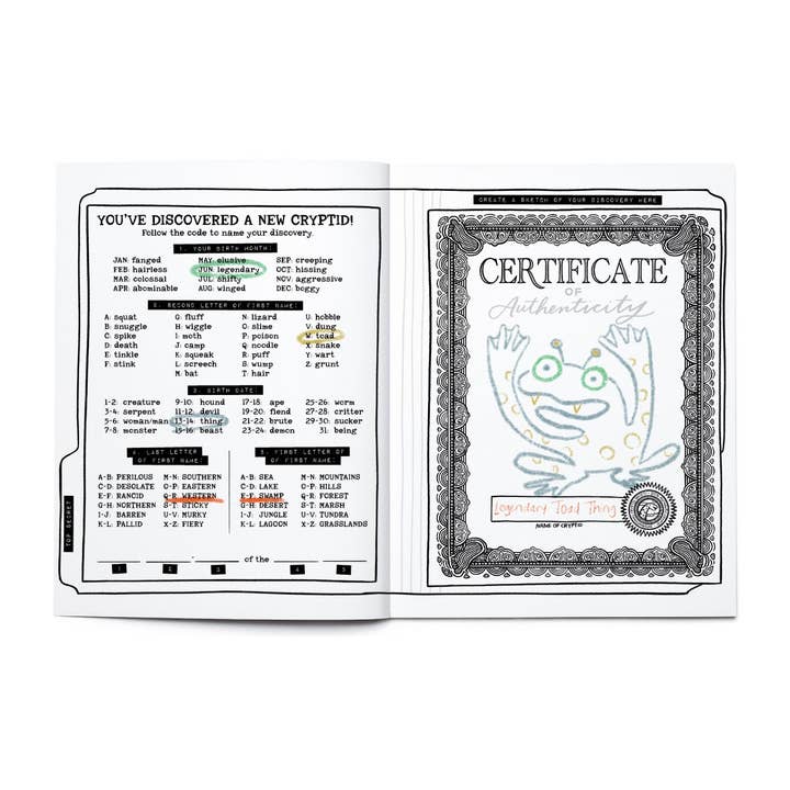 Your Very Favorite - Wholesale Coloring Book - Kids & Baby - Legendary Monsters CRYPTIDS Coloring, Activity, Jokes + MORE5