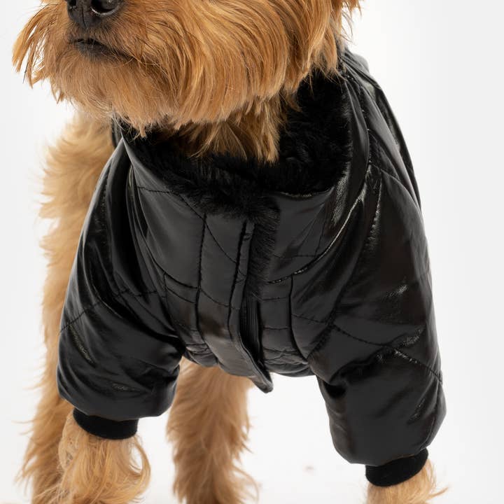 Veste pour chien Phoenix - Noir | Manteau matelassé en cuir végétalien avec doublure en fausse fourrure pour la vente par Silver Paw