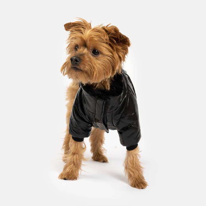 Phoenix Dog Jacket - Black | Quilted Vegan Leather Coat with Faux Fur Lining for wholesale by Silver Paw