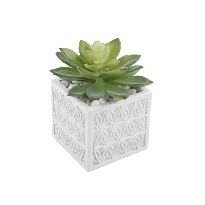 Flora Bunda Inc - Wholesale Artificial plant - Artificial Succulent in Pattern Ceramic Pot2
