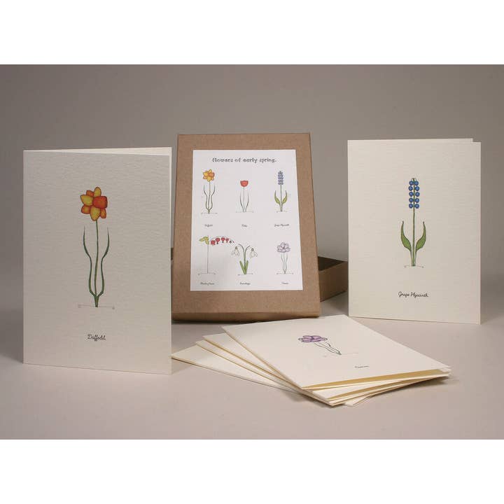 Flowers Of Early Spring wenskaarten in doos voor wholesale door Beth Mueller