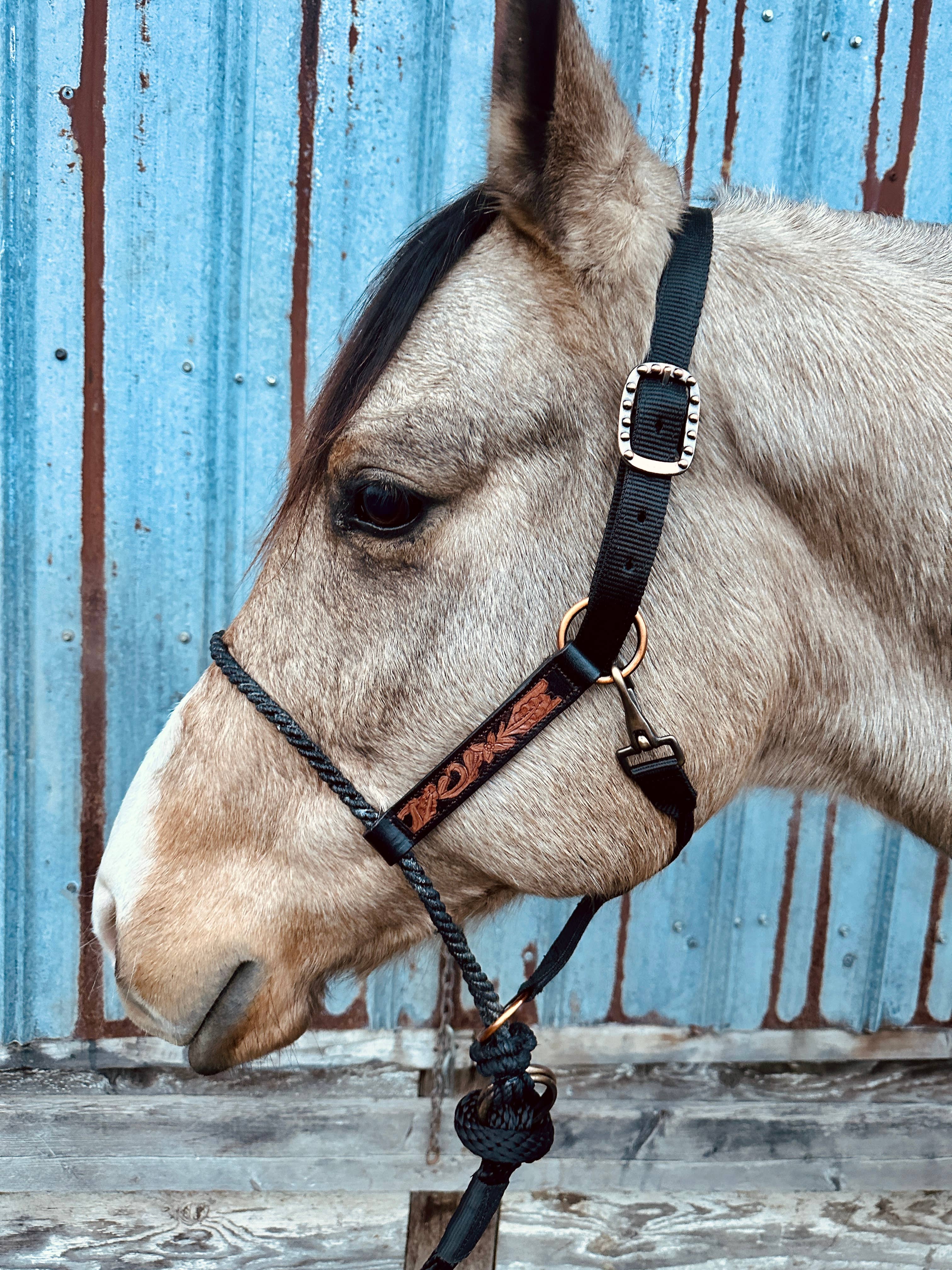Schulz Equine - Wholesale Horseback Riding Gear - Lariat Nose Halter7