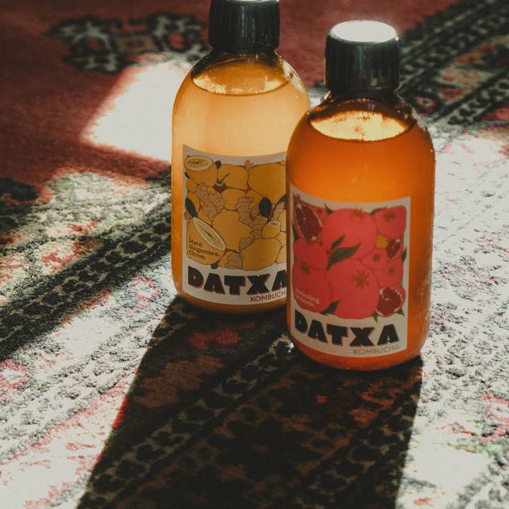 Datxa Kombucha - Wholesale Kombucha - Kombucha Darjeeling Pomegranate Bio/Organic2