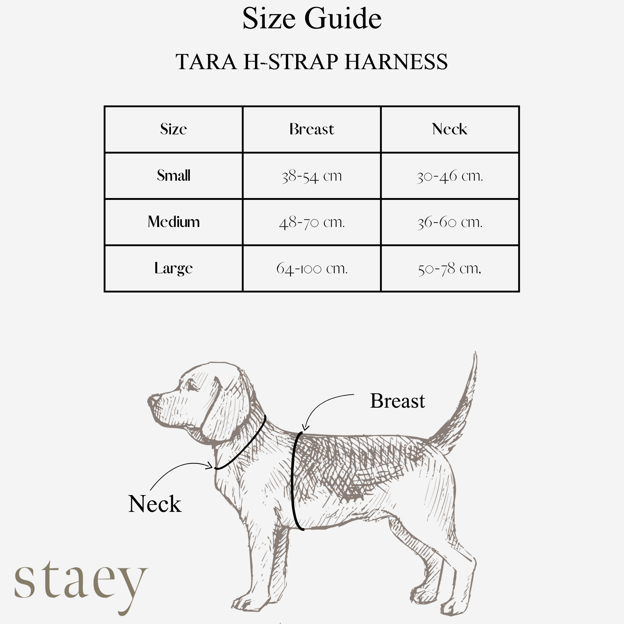 Staey - Wholesale Pet Harness - Dog - Tara H-Strap Dog Harness | Mocha6