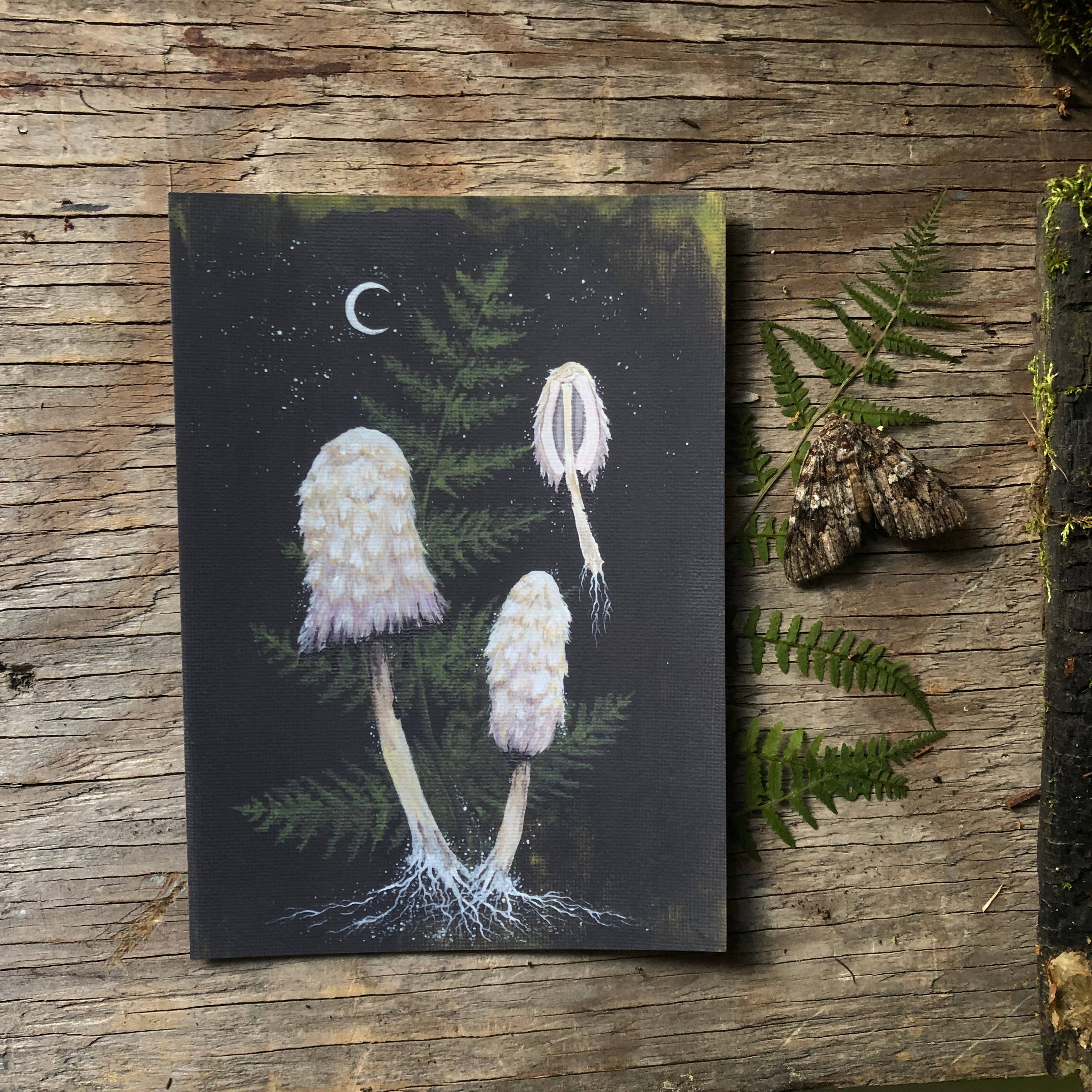 Up Moss Creek Studio - Vendita all'ingrosso Stampa artistica - Cartolina Shaggy Mane 3