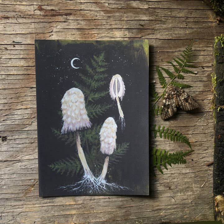 Up Moss Creek Studio - Vendita all'ingrosso Stampa artistica - Cartolina Shaggy Mane 3