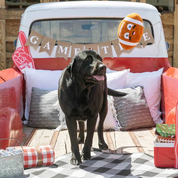 Pet Palette Distribution - Wholesale Pet Plush Toy - Dog - PetShop by Fringe Studio I Wanna Be A Baller Plush Dog Toy2