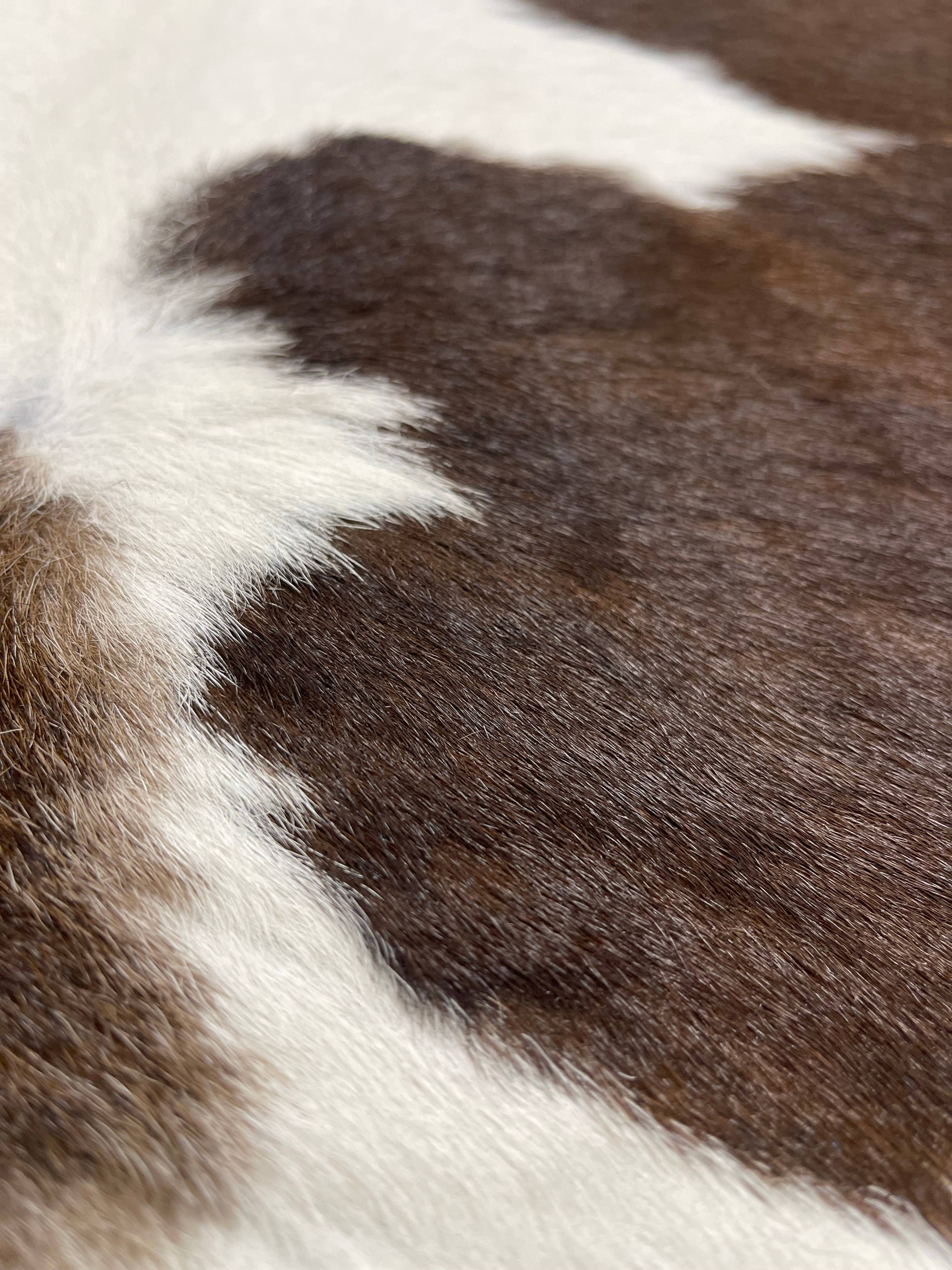 Chesterfield Leather – wholesale Matta – Brasilianskt kalvskinn med hår3