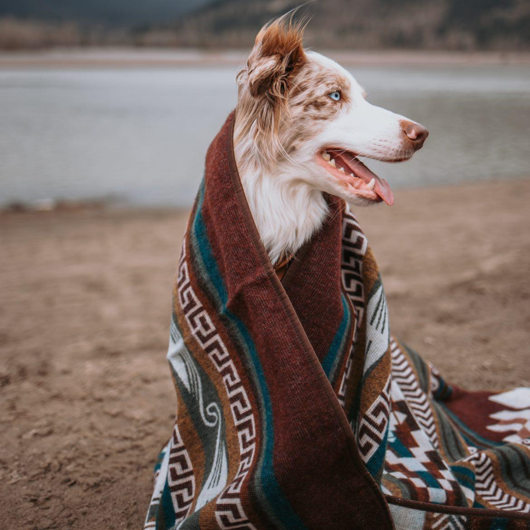 Wylde Brigade – Manta para sofá por atacado – Manta Reversível Azteca Cayambe0