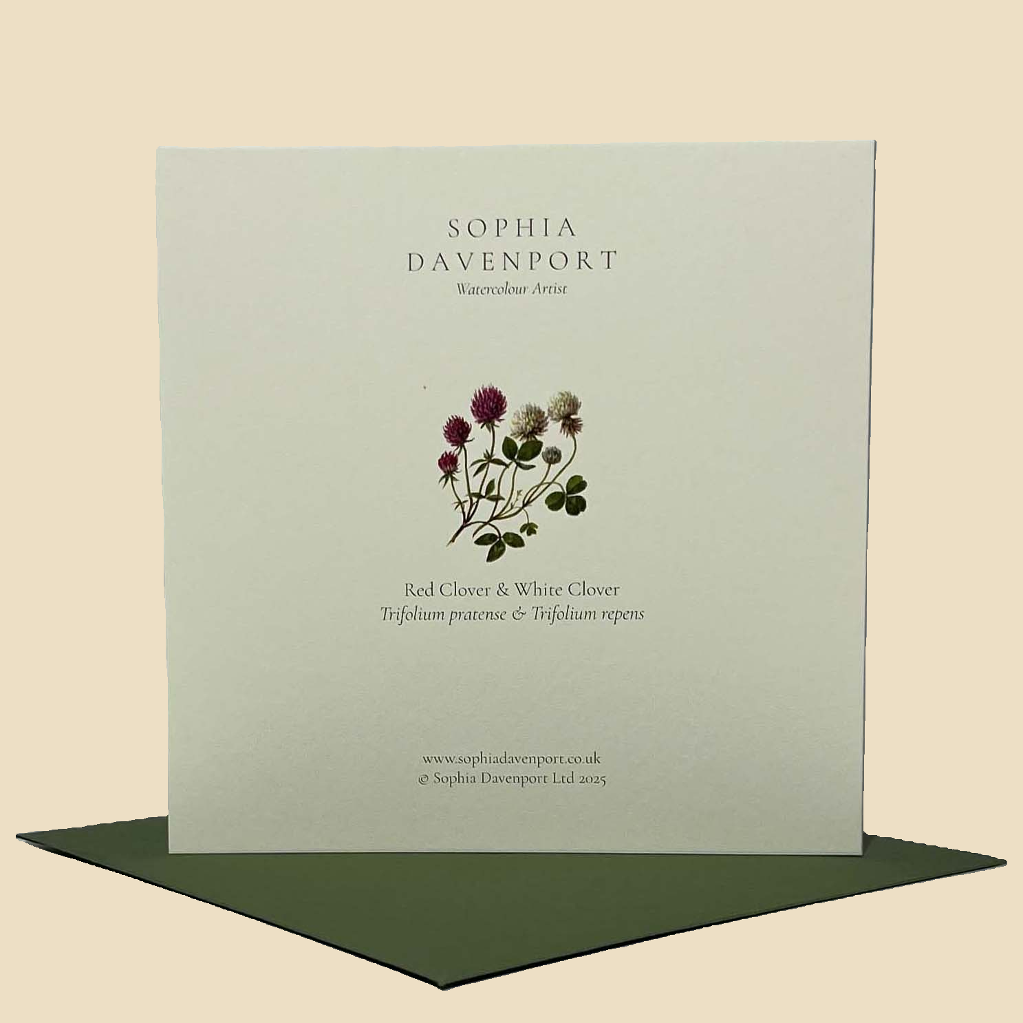Sophia Davenport - Wholesale Everyday Greeting Card - Wildflower Greeting Cards and Notelets3
