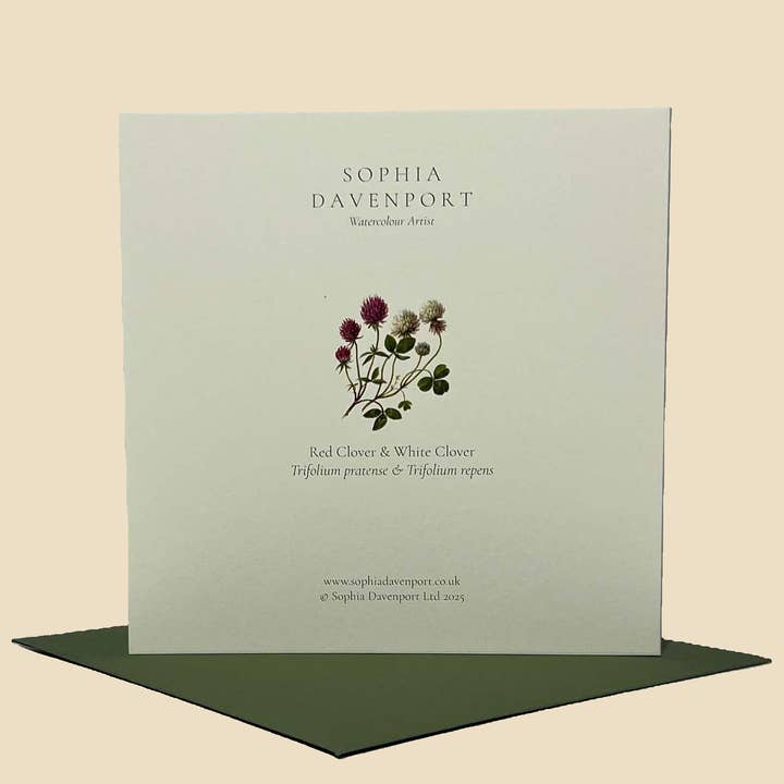 Sophia Davenport - Wholesale Everyday Greeting Card - Wildflower Greeting Cards and Notelets3