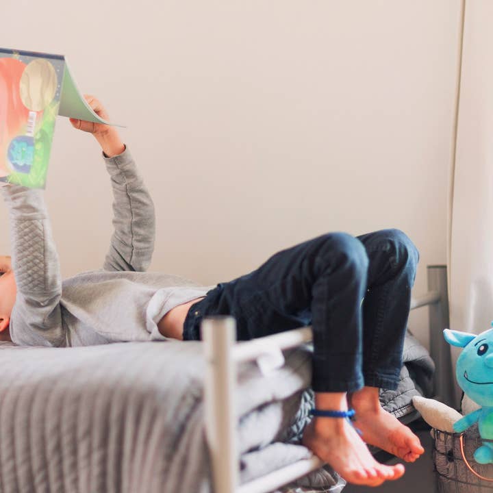 Rudderr, LLC/MintBucket - Wholesale Stuffed/Plush Toy - Kids & Baby - Chomphogs on Guard - Solution for Kids Scared of the Dark5