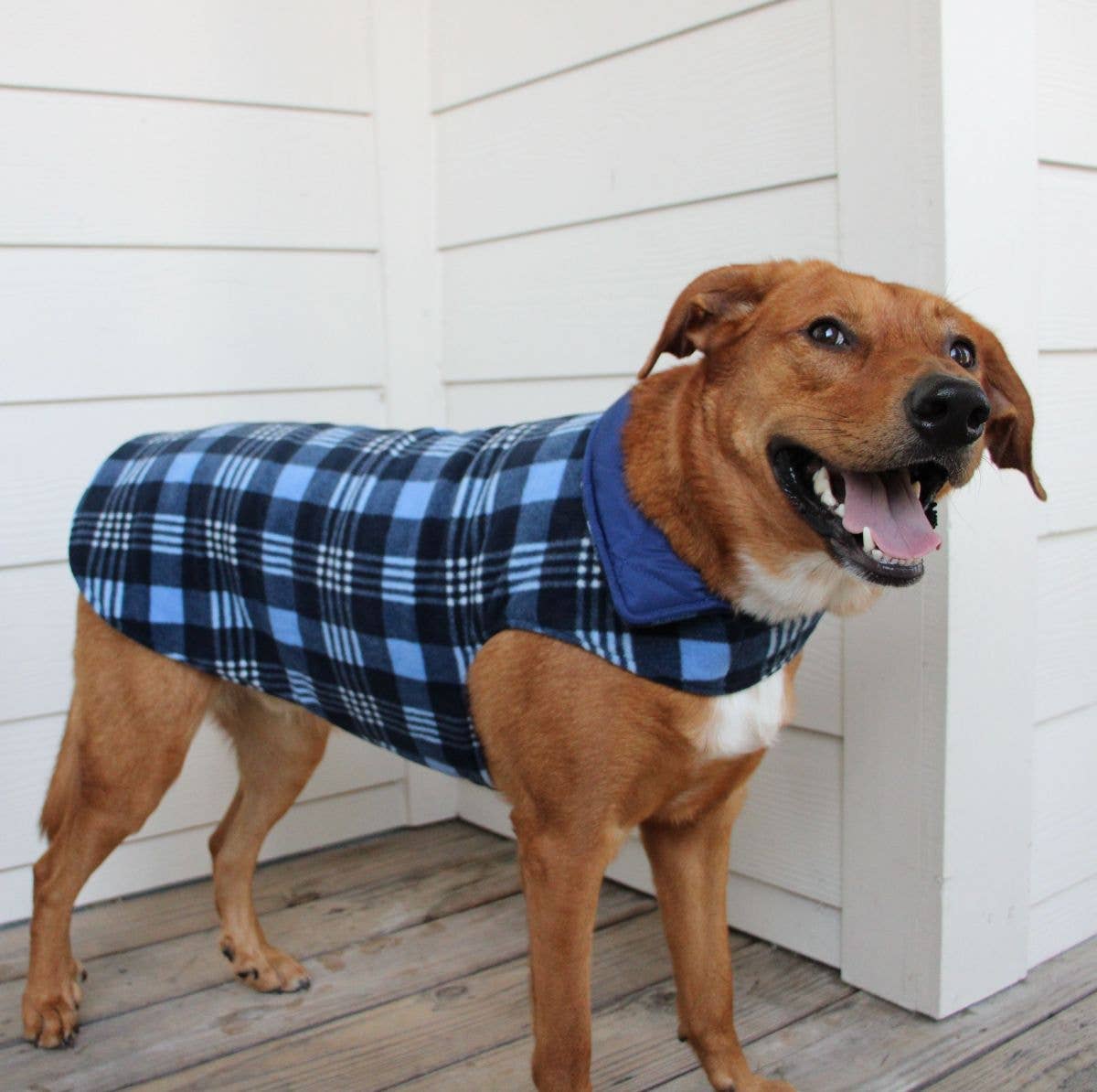 Doggie Design - Wholesale Pet Coat - Dog - Reversible Fleece Lined Puffer Dog Coat - Blue Plaid2