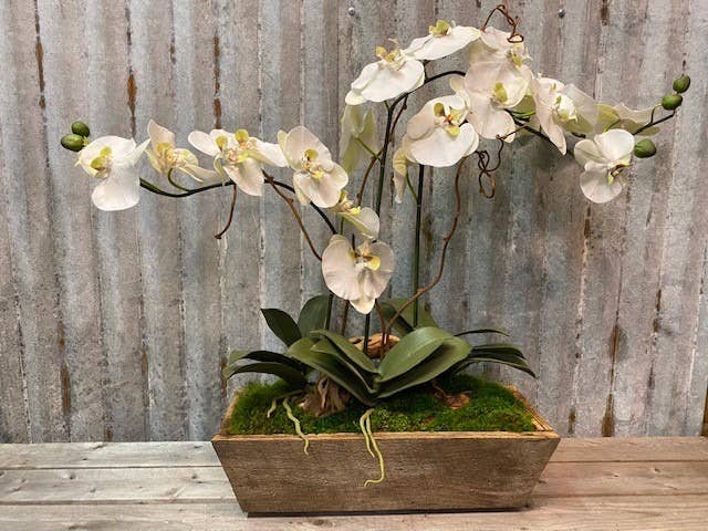 Forever Green Art - Wholesale Artificial Flowers - Triple Orchid Doughbowl1