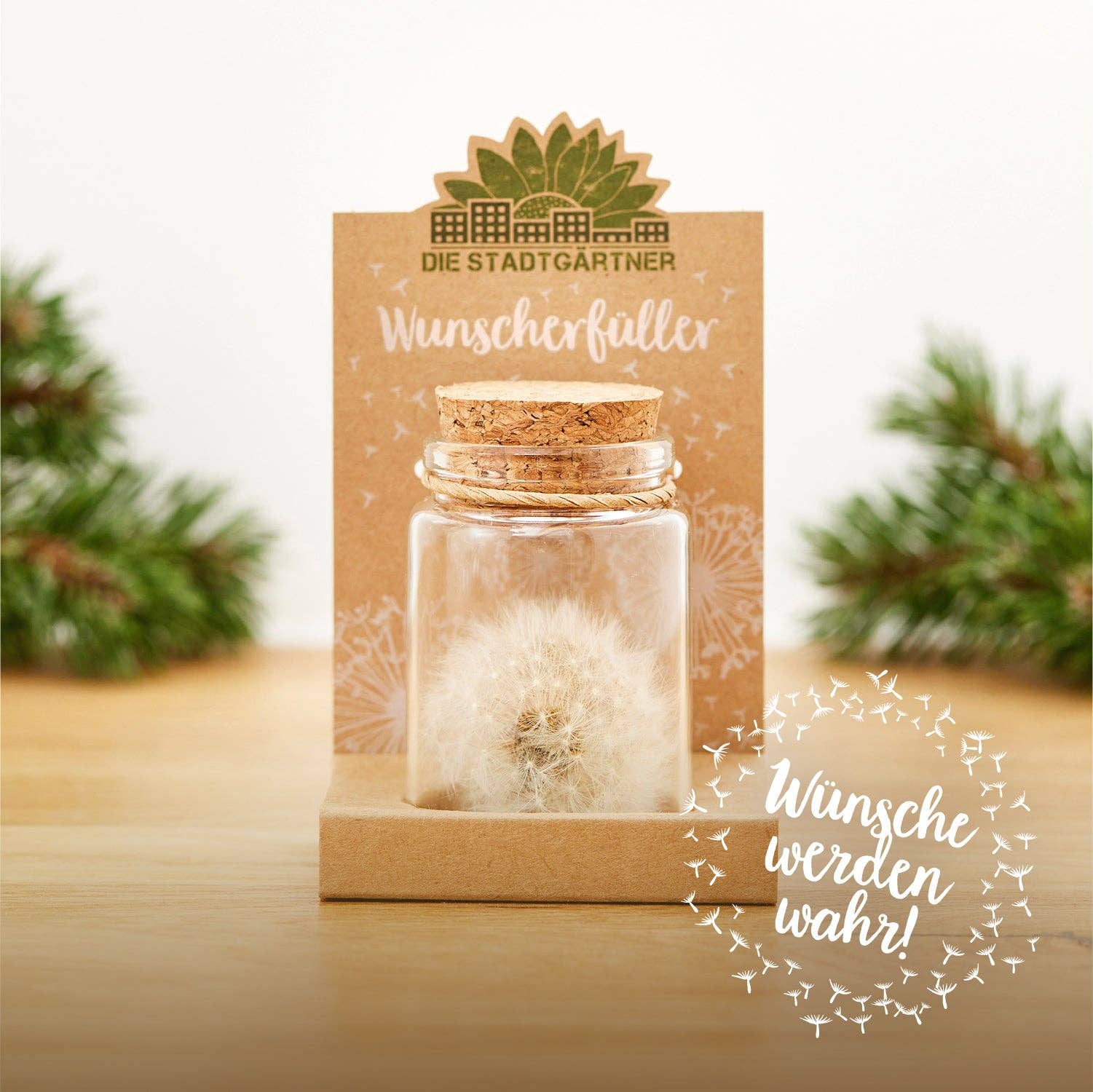 TDJ Stadtgärtner GmbH - Wholesale Party Favor - Wish fulfiller (DE, ES, FR, EN)3