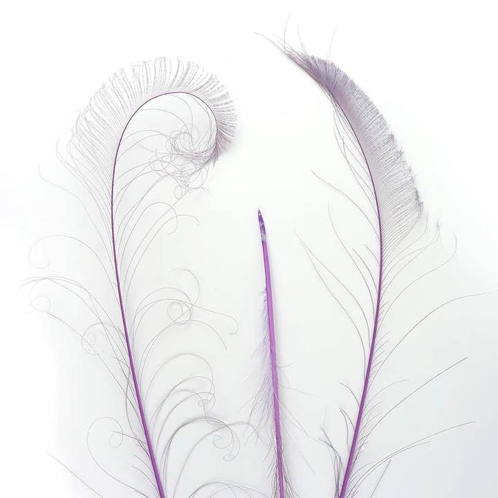Zucker Feather Products - Wholesale Feathers - Peacock Swords Bleached/Dyed - Orchid