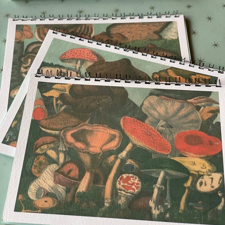 Parcel - Wholesale Notebook - ‘We are the Champignions’ Mushroom Foraging Notebook