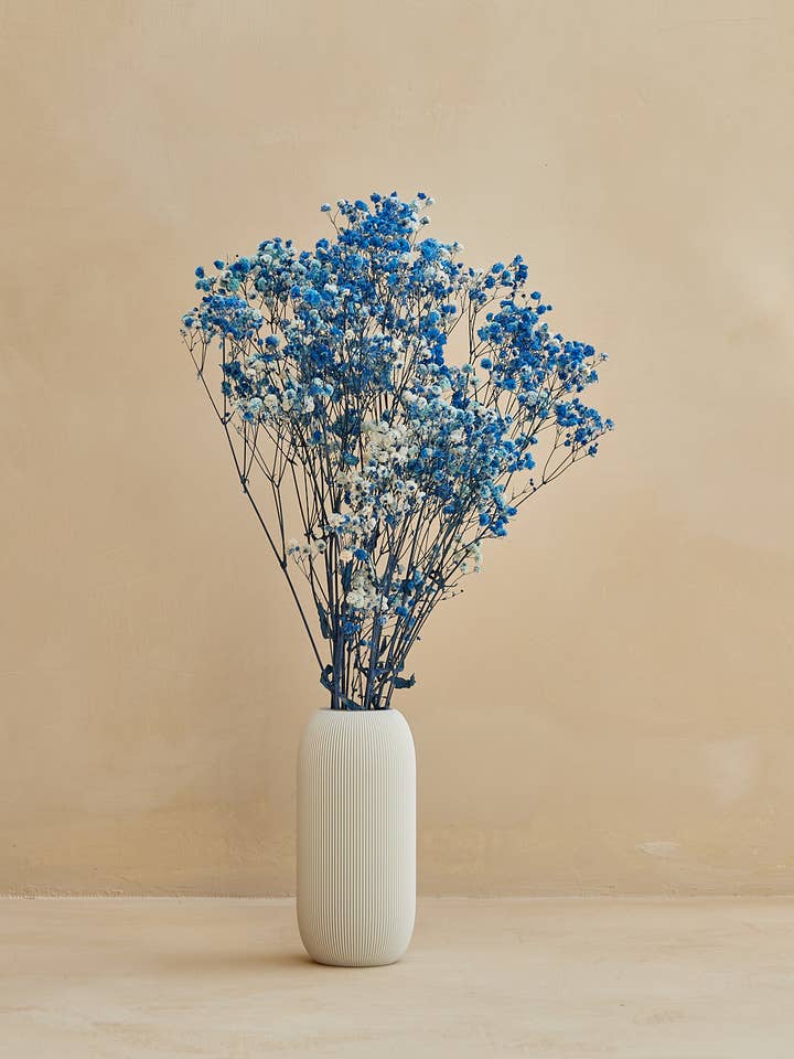 Gypsophile « Baby Breath » stabilisée en bleu pour la vente par For Love Of Pampas