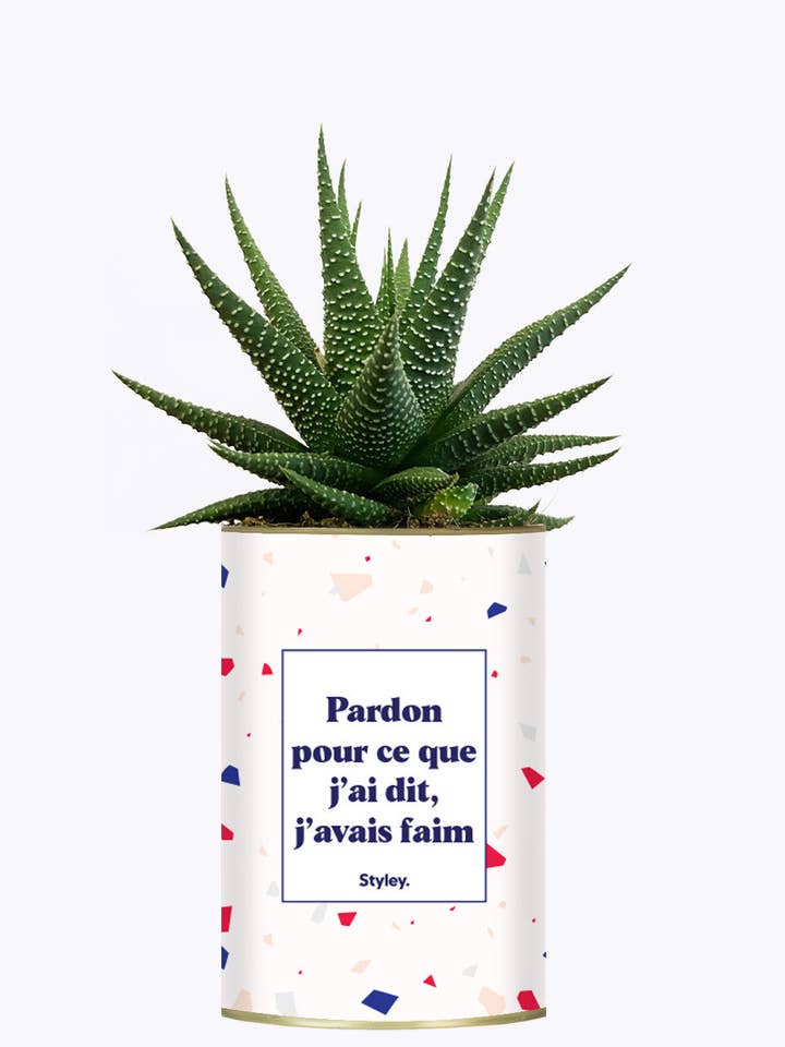 Pardon Pour Ce Que J'ai Dit, J'avais Faim - Cactus for wholesale by Styley