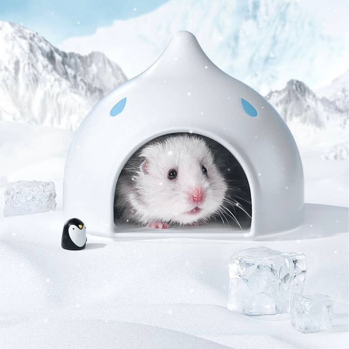 Curatepet - Wholesale Pet Toy - Not Cat/Dog - Stylish Dwarf Hamster Ceramic Hide Hydro Hut