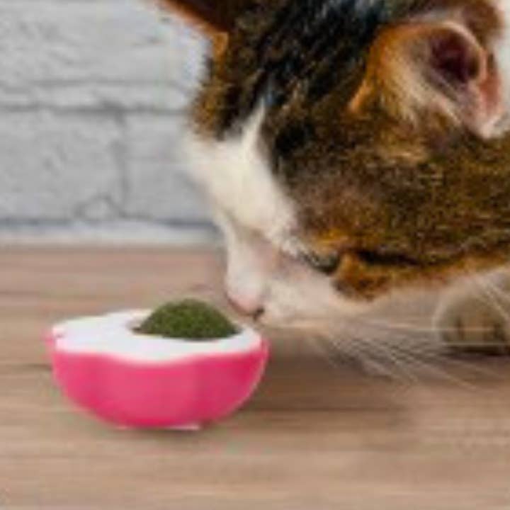 WufWuf - Wholesale Pet Toy - Cat - WufWuf & Smart Choice Catnip Roller Ball Cat Toy, 3 Pack