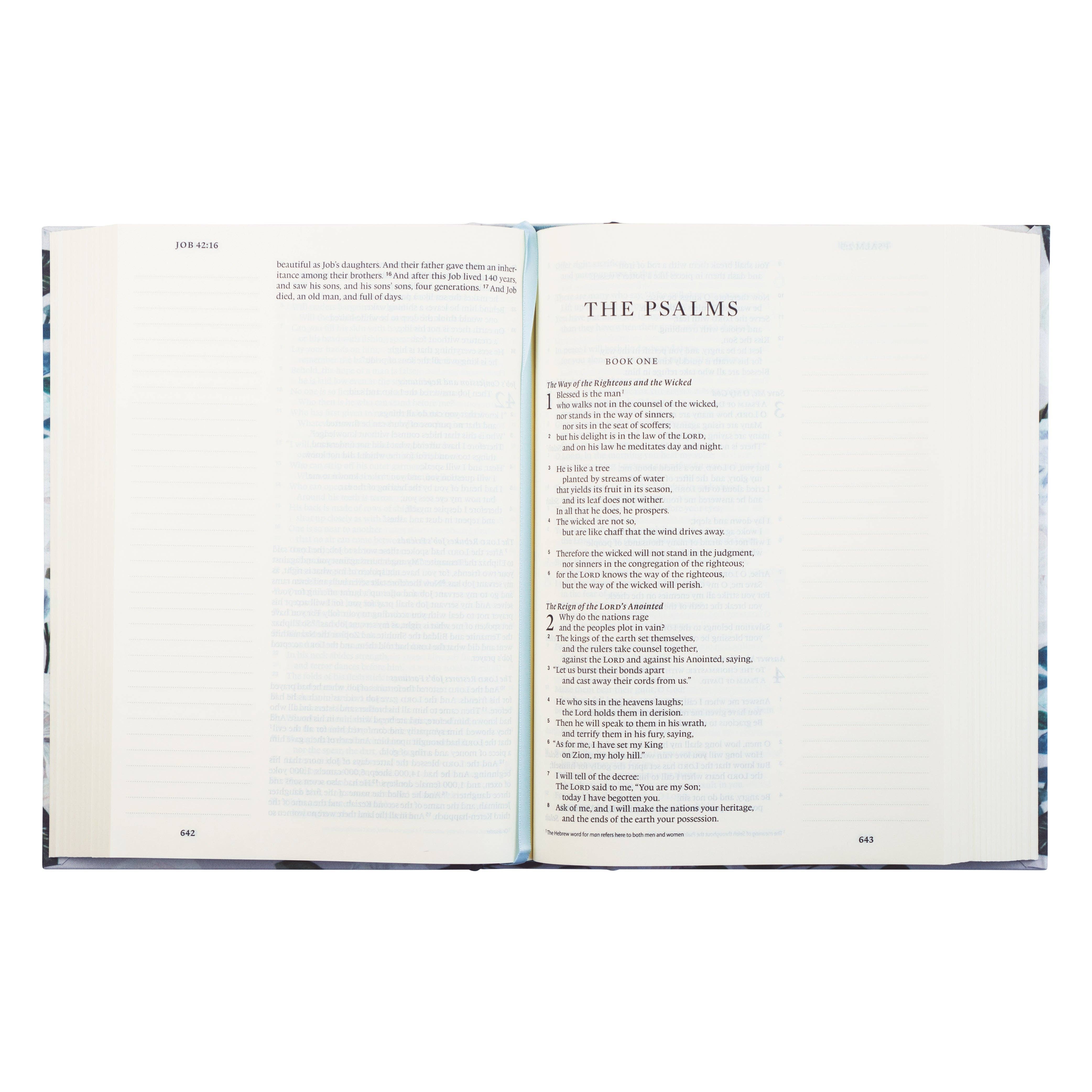 Hosanna Revival - Wholesale Religion Book - ESV Large Print Journaling Bible: Victoria Theme4