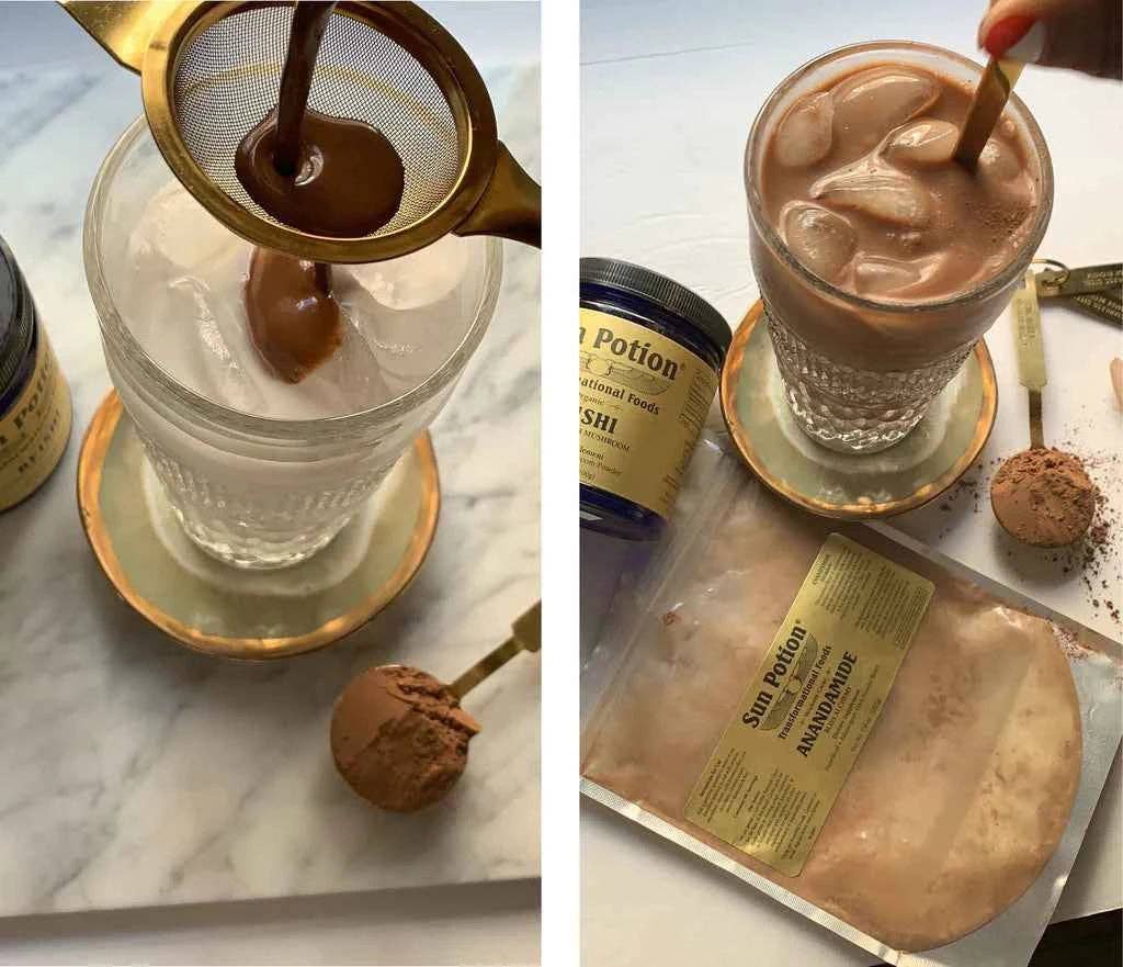 Sun Potion - Vendita all'ingrosso Proteine/superfood in polvere - Polvere di Funghi Reishi (Biologica)2