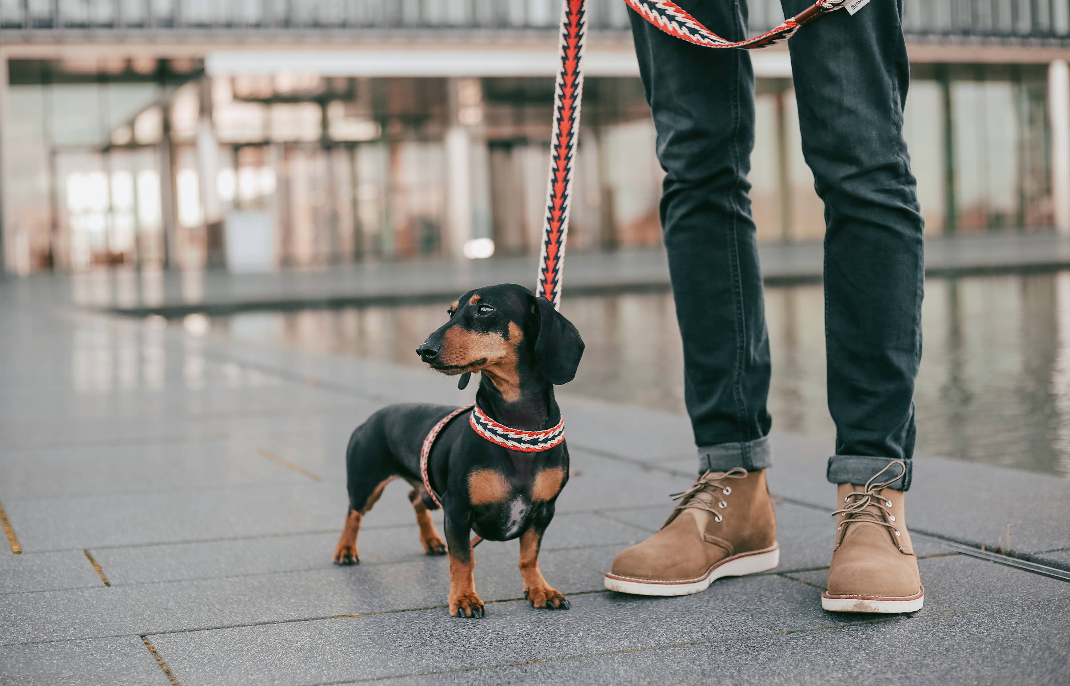 Buddys dogwear - Vendita all'ingrosso Pettorina - Cani - Pettorina regolabile per cani con motivo freccia peruviana rossa3